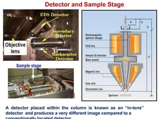 Scanning Electron Microscopy (SEM) Analysis.pdf