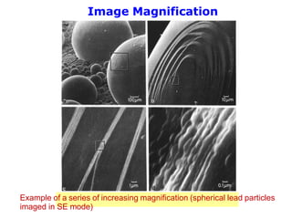 Scanning Electron Microscopy (SEM) Analysis.pdf