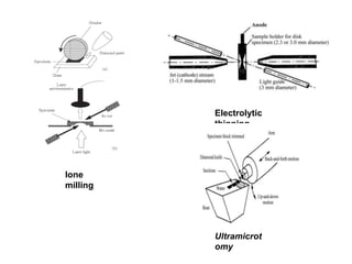 Ione
milling
Electrolytic
thinning
Ultramicrot
omy
 