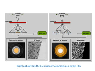 Bright and dark field STEM image of Au particles on a carbon film
 