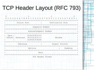 TCP Header Layout (RFC 793)
  0                    1                    2                    3
  0 1 2 3 4 5 6 7 8 9 0 1 2 3 4 5 6 7 8 9 0 1 2 3 4 5 6 7 8 9 0 1
+-+-+-+-+-+-+-+-+-+-+-+-+-+-+-+-+-+-+-+-+-+-+-+-+-+-+-+-+-+-+-+-+
|           Source Port           |        Destination Port        |
+-+-+-+-+-+-+-+-+-+-+-+-+-+-+-+-+-+-+-+-+-+-+-+-+-+-+-+-+-+-+-+-+
|                          Sequence Number                         |
+-+-+-+-+-+-+-+-+-+-+-+-+-+-+-+-+-+-+-+-+-+-+-+-+-+-+-+-+-+-+-+-+
|                      Acknowledgment Number                       |
+-+-+-+-+-+-+-+-+-+-+-+-+-+-+-+-+-+-+-+-+-+-+-+-+-+-+-+-+-+-+-+-+
| Data |              |U|A|P|R|S|F|                                |
| Offset| Reserved |R|C|S|S|Y|I|                 Window            |
|        |            |G|K|H|T|N|N|                                |
+-+-+-+-+-+-+-+-+-+-+-+-+-+-+-+-+-+-+-+-+-+-+-+-+-+-+-+-+-+-+-+-+
|            Checksum             |           Urgent Pointer       |
+-+-+-+-+-+-+-+-+-+-+-+-+-+-+-+-+-+-+-+-+-+-+-+-+-+-+-+-+-+-+-+-+
|                      Options                      |    Padding   |
+-+-+-+-+-+-+-+-+-+-+-+-+-+-+-+-+-+-+-+-+-+-+-+-+-+-+-+-+-+-+-+-+
|                               data                               |
+-+-+-+-+-+-+-+-+-+-+-+-+-+-+-+-+-+-+-+-+-+-+-+-+-+-+-+-+-+-+-+-+
                           TCP Header Format
 