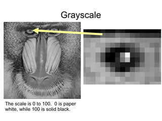 Grayscale The scale is 0 to 100.  0 is paper white, while 100 is solid black. 