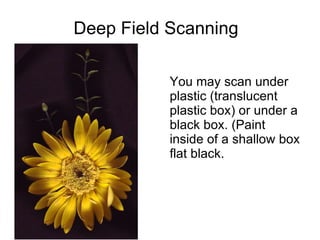 Deep Field Scanning You may scan under plastic (translucent plastic box) or under a black box. (Paint inside of a shallow box flat black. 