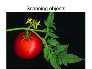 Scanning objects 