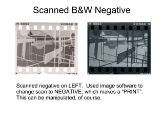 Scanned B&W Negative Scanned negative on LEFT.  Used image software to change scan to NEGATIVE, which makes a “PRINT”.  This can be manipulated, of course. 
