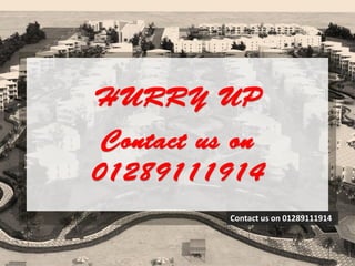 Contact us on 01289111914
 