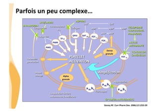 CHU_Hôpitaux de Rouen - page 12
Thrombin	
  
Thromboxane	
  
A	
  2	
  
5HT	
  
P2Y	
  12	
  
ADP	
   ADP	
  ADP	
  
5HT	
  
PLATELET	
  
ACTIVATION	
  
P2Y	
  1	
  5HT	
  2A	
  
PAR1	
  
PAR4	
  
Dense	
  
granule	
  
Thrombin	
  
generaJon	
  
Shape	
  
change	
  
a	
  IIb	
  b	
  3	
  
a	
  IIb	
  b	
  3	
  
Fibrinogen	
  
a	
  IIb	
  b	
  3	
  
AggregaJon	
  
Ampliﬁca)on	
  
Alpha	
  
granule	
  
CoagulaJon	
  factors	
  
Inﬂammatory	
  mediators	
  
TP	
  a	
  
GPVI	
  
Collagen	
  
ATP	
  ATP	
  
P2X	
  1	
  
ASPIRIN	
  
x	
   TICLOPIDINE	
  
CLOPIDOGREL	
  
PRASUGREL	
  
ACTIVE	
  	
  
METABOLITE	
  
x	
   TICAGRELOR	
  
CANGRELOR	
  
GP	
  IIb/IIIa	
  ANTAGONISTS	
  
x	
  x	
  
Storey	
  RF.	
  Curr	
  Pharm	
  Des.	
  2006;12:1255-­‐59	
  
Parfois	
  un	
  peu	
  complexe…	
  
x	
  
BIVALIRUDIN	
  
x	
  
CoagulaJon	
  
UFH/LMWH	
  
 