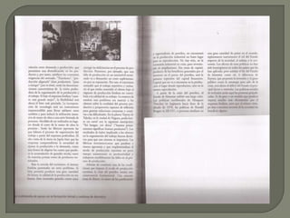Scan textos tp 1
