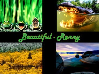 Scape beauty