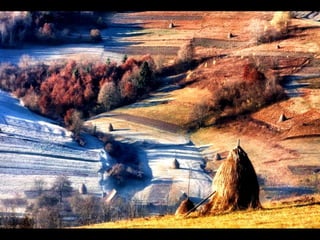Scape beauty
