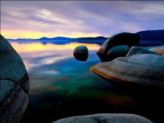 Scape beauty