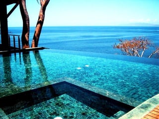 Scape beauty