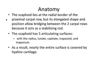 Scaphoid approaches by dr piyush rajesh imchrc indore | PPTX