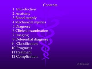 Scaphoid fracture (2)