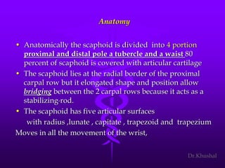 Scaphoid fracture (2)