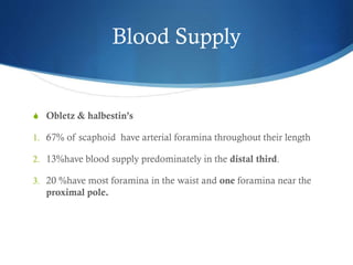 Blood Supply

S Obletz & halbestin’s
1. 67% of scaphoid have arterial foramina throughout their length
2. 13%have blood supply predominately in the distal third.
3. 20 %have most foramina in the waist and one foramina near the

proximal pole.

 