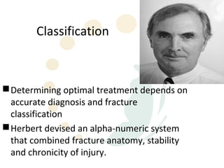 Classification



 Determining optimal treatment depends on
  accurate diagnosis and fracture
  classification
 Herbert devised an alpha-numeric system
  that combined fracture anatomy, stability
  and chronicity of injury.
 