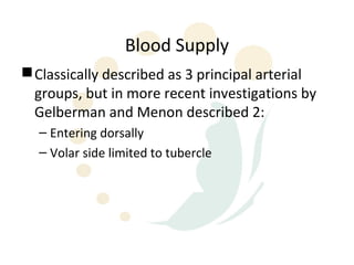 Blood Supply
 Classically described as 3 principal arterial
  groups, but in more recent investigations by
  Gelberman and Menon described 2:
  – Entering dorsally
  – Volar side limited to tubercle
 