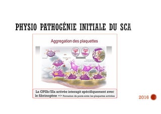 La GPIIb/IIIa activée interagit spécifiquement avec
le fibrinogène => Formation de ponts entre les plaquettes activées
2016
 