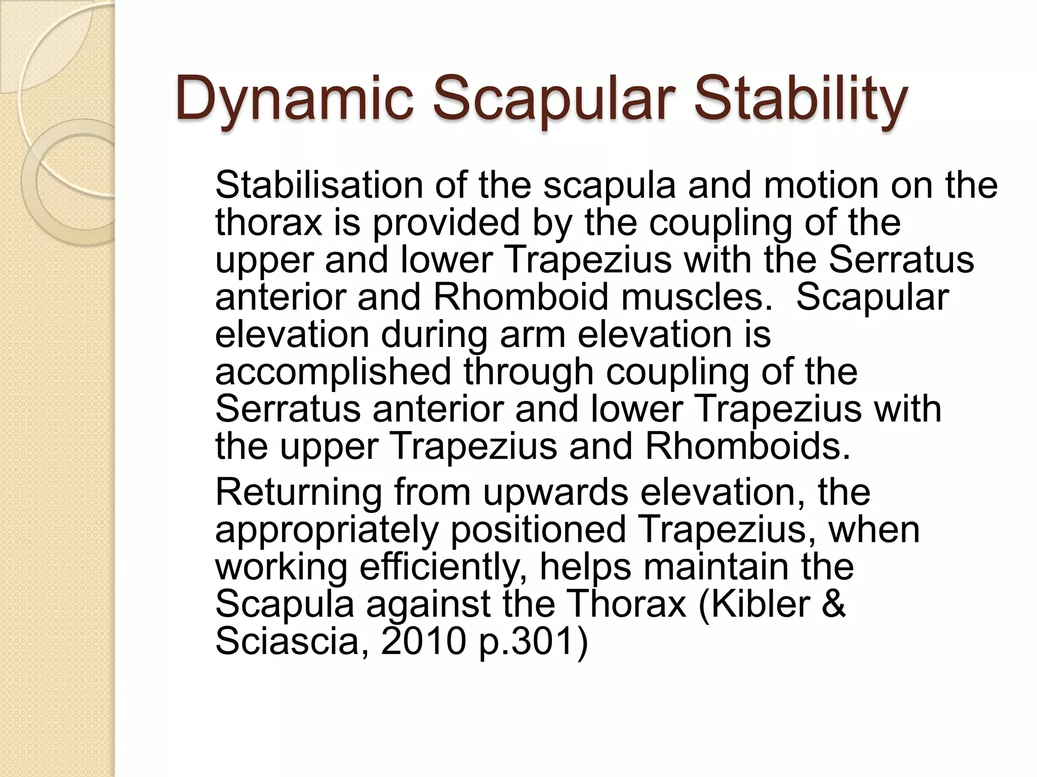 Dynamic Scapular Stability
Stabilisation of the scapula and motion on the
thorax is provided by the coupling of the
upper and lower Trapezius with the Serratus
anterior and Rhomboid muscles. Scapular
elevation during arm elevation is
accomplished through coupling of the
Serratus anterior and lower Trapezius with
the upper Trapezius and Rhomboids.
Returning from upwards elevation, the
appropriately positioned Trapezius, when
working efficiently, helps maintain the
Scapula against the Thorax (Kibler &
Sciascia, 2010 p.301)
 