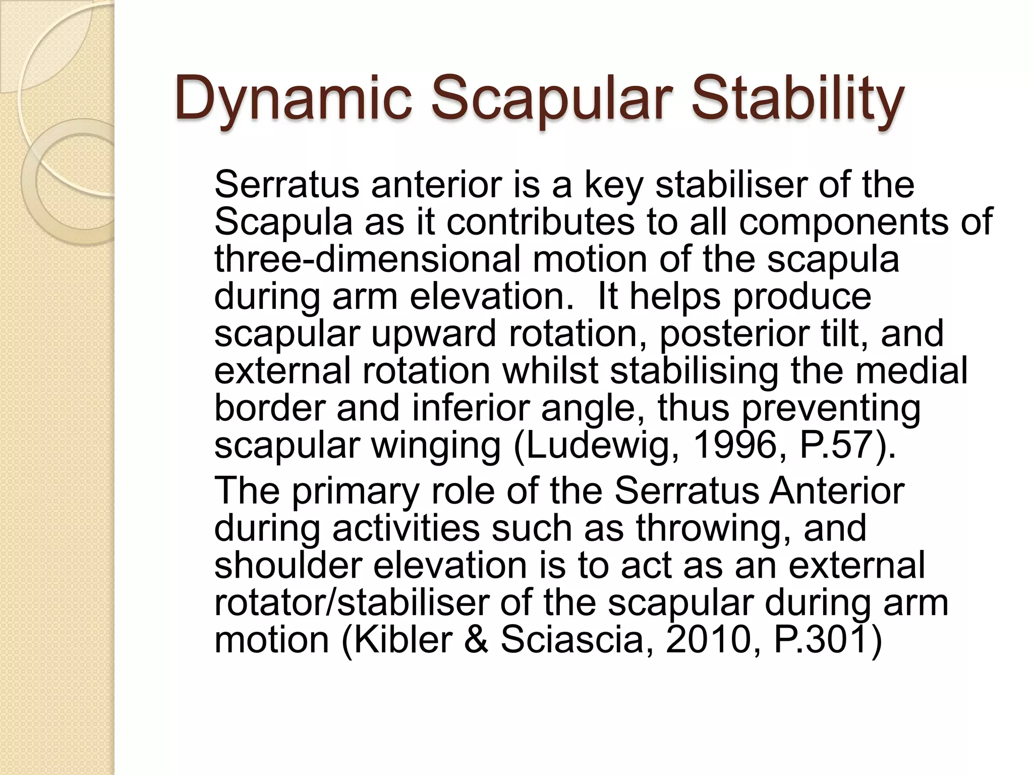 Dynamic Scapular Stability
Serratus anterior is a key stabiliser of the
Scapula as it contributes to all components of
three-dimensional motion of the scapula
during arm elevation. It helps produce
scapular upward rotation, posterior tilt, and
external rotation whilst stabilising the medial
border and inferior angle, thus preventing
scapular winging (Ludewig, 1996, P.57).
The primary role of the Serratus Anterior
during activities such as throwing, and
shoulder elevation is to act as an external
rotator/stabiliser of the scapular during arm
motion (Kibler & Sciascia, 2010, P.301)
 