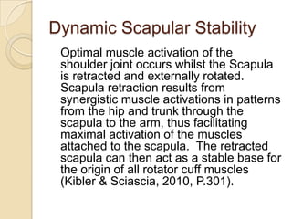 Dynamic Scapular Stability
Optimal muscle activation of the
shoulder joint occurs whilst the Scapula
is retracted and externally rotated.
Scapula retraction results from
synergistic muscle activations in patterns
from the hip and trunk through the
scapula to the arm, thus facilitating
maximal activation of the muscles
attached to the scapula. The retracted
scapula can then act as a stable base for
the origin of all rotator cuff muscles
(Kibler & Sciascia, 2010, P.301).
 