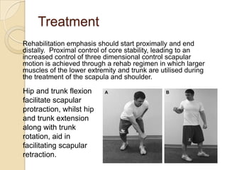 Treatment
Rehabilitation emphasis should start proximally and end
distally. Proximal control of core stability, leading to an
increased control of three dimensional control scapular
motion is achieved through a rehab regimen in which larger
muscles of the lower extremity and trunk are utilised during
the treatment of the scapula and shoulder.
Hip and trunk flexion
facilitate scapular
protraction, whilst hip
and trunk extension
along with trunk
rotation, aid in
facilitating scapular
retraction.
 
