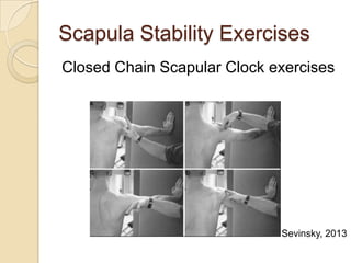 Scapula Stability Exercises
Closed Chain Scapular Clock exercises
Sevinsky, 2013
 