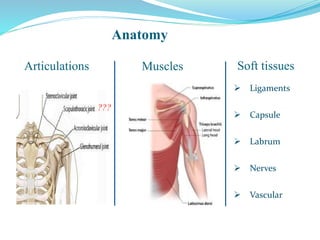 Articulations
???
Anatomy
Muscles Soft tissues
 Ligaments
 Capsule
 Labrum
 Nerves
 Vascular
 