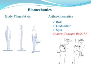 Arthrokinematics
 Roll
 Glide/Slide
 Spin
Convex-Concave Rule???
Body Planes/Axis
Biomechanics
 