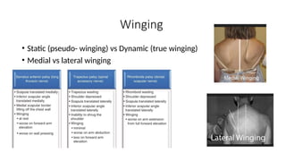 Winging
• Static (pseudo- winging) vs Dynamic (true winging)
• Medial vs lateral winging
 