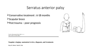 Serratus anterior palsy
Conservative treatment : 6-18 months
Scapular brace
Post trauma – poor prognosis
 