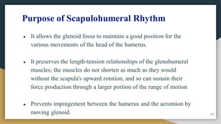 Purpose of Scapulohumeral Rhythm
● It allows the glenoid fossa to maintain a good position for the
various movements of the head of the humerus.
● It preserves the length-tension relationships of the glenohumeral
muscles; the muscles do not shorten as much as they would
without the scapula's upward rotation, and so can sustain their
force production through a larger portion of the range of motion
● Prevents impingement between the humerus and the acromion by
moving glenoid. 10
 