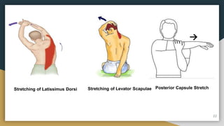 Stretching of Latissimus Dorsi Stretching of Levator Scapulae Posterior Capsule Stretch
22
 