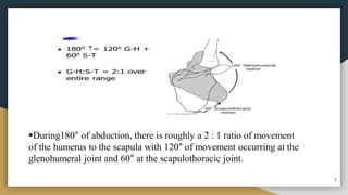 During180° of abduction, there is roughly a 2 : 1 ratio of movement
of the humerus to the scapula with 120° of movement occurring at the
glenohumeral joint and 60° at the scapulothoracic joint.
3
 