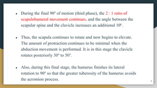 ● During the final 90° of motion (third phase), the 2 : 1 ratio of
scapulohumeral movement continues, and the angle between the
scapular spine and the clavicle increases an additional 10°.
● Thus, the scapula continues to rotate and now begins to elevate.
The amount of protraction continues to be minimal when the
abduction movement is performed. It is in this stage the clavicle
rotates posteriorly 30° to 50°.
● Also, during this final stage, the humerus finishes its lateral
rotation to 90° so that the greater tuberosity of the humerus avoids
the acromion process. 9
 