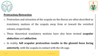 BIOMECHANICS OF SHOULDER COMPLEX - SCAPULOTHORACIC JOINT | PDF