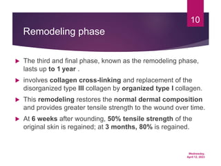Wednesday,
April 12, 2023
10
Remodeling phase
 The third and final phase, known as the remodeling phase,
lasts up to 1 year .
 involves collagen cross-linking and replacement of the
disorganized type III collagen by organized type I collagen.
 This remodeling restores the normal dermal composition
and provides greater tensile strength to the wound over time.
 At 6 weeks after wounding, 50% tensile strength of the
original skin is regained; at 3 months, 80% is regained.
 