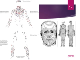 Wednesday,
April 12, 2023
12
 