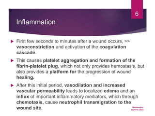 Wednesday,
April 12, 2023
6
Inflammation
 First few seconds to minutes after a wound occurs, >>
vasoconstriction and activation of the coagulation
cascade.
 This causes platelet aggregation and formation of the
fibrin-platelet plug, which not only provides hemostasis, but
also provides a platform for the progression of wound
healing.
 After this initial period, vasodilation and increased
vascular permeability leads to localized edema and an
influx of important inflammatory mediators, which through
chemotaxis, cause neutrophil transmigration to the
wound site.
 