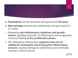 Wednesday,
April 12, 2023
7
 Neutrophils are the dominant cell type around 24 hours.
 Macrophages become the predominant cell type around 2
to 3 days
1. Releasing anti-inflammatory cytokines and growth
factors signaling resolution of inflammation and progression
of wound healing to the proliferative phase,
2. OR Releasing inflammatory cytokines that recruit
additional neutrophils and prolong the inflammatory
process, causing damage to viable tissue and eventually
causing a chronic wound.
 