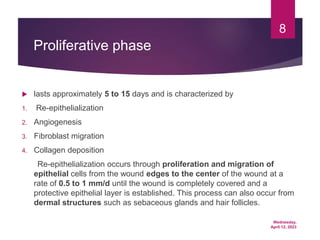 Wednesday,
April 12, 2023
8
Proliferative phase
 lasts approximately 5 to 15 days and is characterized by
1. Re-epithelialization
2. Angiogenesis
3. Fibroblast migration
4. Collagen deposition
Re-epithelialization occurs through proliferation and migration of
epithelial cells from the wound edges to the center of the wound at a
rate of 0.5 to 1 mm/d until the wound is completely covered and a
protective epithelial layer is established. This process can also occur from
dermal structures such as sebaceous glands and hair follicles.
 