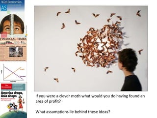 If you were a clever moth what would you do having found an
area of profit?
What assumptions lie behind these ideas?
 