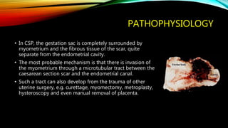 PATHOPHYSIOLOGY
• In CSP, the gestation sac is completely surrounded by
myometrium and the fibrous tissue of the scar, quite
separate from the endometrial cavity.
• The most probable mechanism is that there is invasion of
the myometrium through a microtubular tract between the
caesarean section scar and the endometrial canal.
• Such a tract can also develop from the trauma of other
uterine surgery, e.g. curettage, myomectomy, metroplasty,
hysteroscopy and even manual removal of placenta.
 