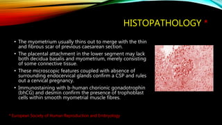 HISTOPATHOLOGY *
• The myometrium usually thins out to merge with the thin
and fibrous scar of previous caesarean section.
• The placental attachment in the lower segment may lack
both decidua basalis and myometrium, merely consisting
of some connective tissue.
• These microscopic features coupled with absence of
surrounding endocervical glands confirm a CSP and rules
out a cervical pregnancy.
• Immunostaining with b-human chorionic gonadotrophin
(bhCG) and desmin confirm the presence of trophoblast
cells within smooth myometrial muscle fibres.
* European Society of Human Reproduction and Embryology
 