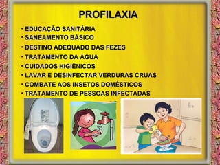 PROFILAXIA EDUCAÇÃO SANITÁRIA SANEAMENTO BÁSICO DESTINO ADEQUADO DAS FEZES TRATAMENTO DA ÁGUA CUIDADOS HIGIÊNICOS LAVAR E DESINFECTAR VERDURAS CRUAS COMBATE AOS INSETOS DOMÉSTICOS TRATAMENTO DE PESSOAS INFECTADAS 