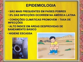 EPIDEMIOLOGIA SÃO MAIS FREQUENTES EM PAÍSES POBRES 8% DAS INFECÇÕES OCORREM NA AMÉRICA LATINA CONDIÇÕES CLIMÁTICAS PROMOVEM ↑ TAXA DE INFECÇÕES ALTO ÍNDICE EM ÁREAS DESPROVIDAS DE SANEAMENTO BÁSICO HIGIENE ESCASSA 