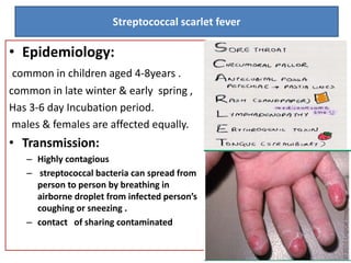 • Epidemiology:
common in children aged 4-8years .
common in late winter & early spring ,
Has 3-6 day Incubation period.
males & females are affected equally.
• Transmission:
– Highly contagious
– streptococcal bacteria can spread from
person to person by breathing in
airborne droplet from infected person’s
coughing or sneezing .
– contact of sharing contaminated
Streptococcal scarlet fever
 