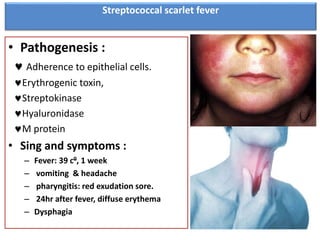 Streptococcal scarlet fever
• Pathogenesis :
 Adherence to epithelial cells.
Erythrogenic toxin,
Streptokinase
Hyaluronidase
M protein
• Sing and symptoms :
– Fever: 39 c0, 1 week
– vomiting & headache
– pharyngitis: red exudation sore.
– 24hr after fever, diffuse erythema
– Dysphagia
 