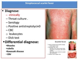 Streptococcal scarlet fever
 Diagnose:
– clinically
– Throat culture .
– Serology
o Positive antistreptolycin0
– CBC
o leukocytes
– Dick test
Differential diagnose:
•Measles
•rubella
•Kawasaki disease
• EBV
 